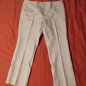 Loft Signature Ankle Length Pant 14P